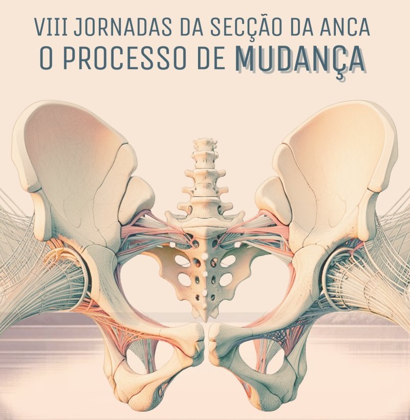 hospital-de-vila-franca-de-xira-VIII Jornadas da Secção da Anca